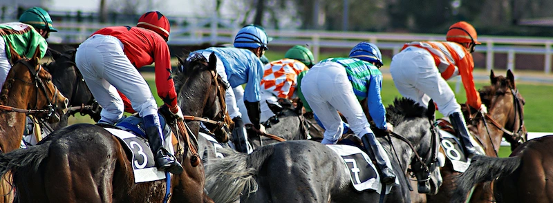 Popular types of bets in horse racing
