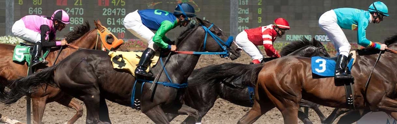 Smart Betting Strategies in Horse Racing